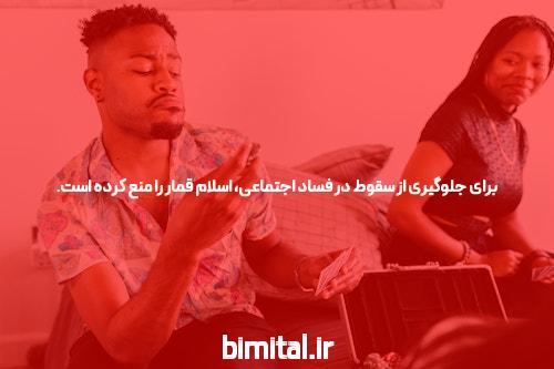 معرفی سایت 777کش ساشا سبحانی: دنیای جدید شرط بندی آنلاین